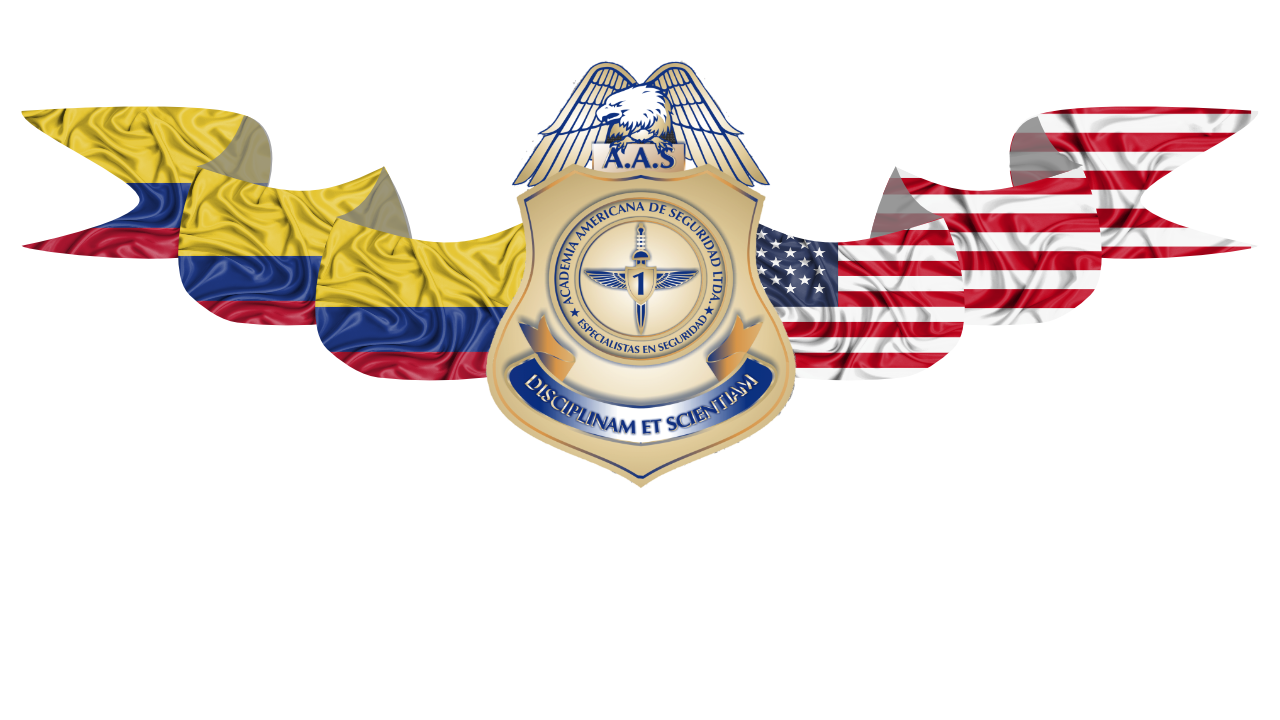 Logotipo Academia Americana